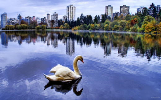478008 (a): :2560x1600